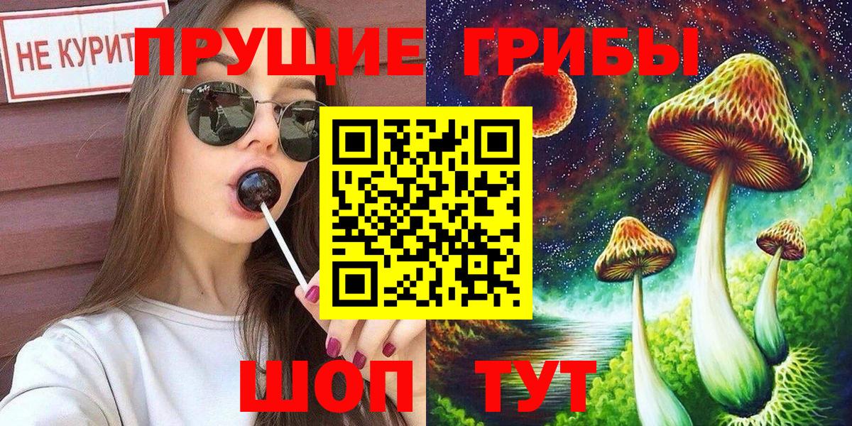 где продают   Псилоцибиновые грибы Psilocybine cubensis  Вход с VPN  Братск 
